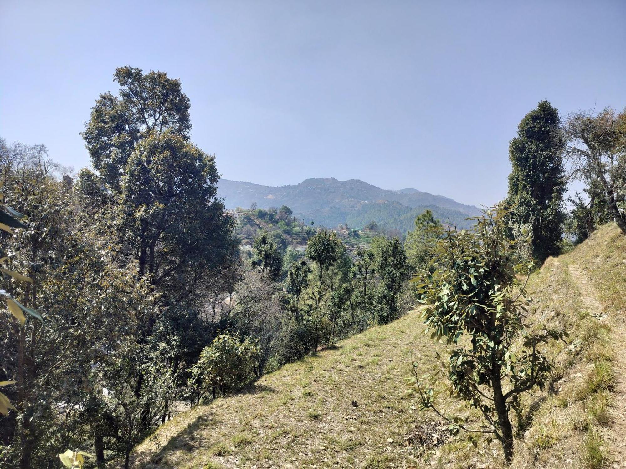 Francolin Lodge-Farmstay @ Darima 穆克缇斯瓦 外观 照片