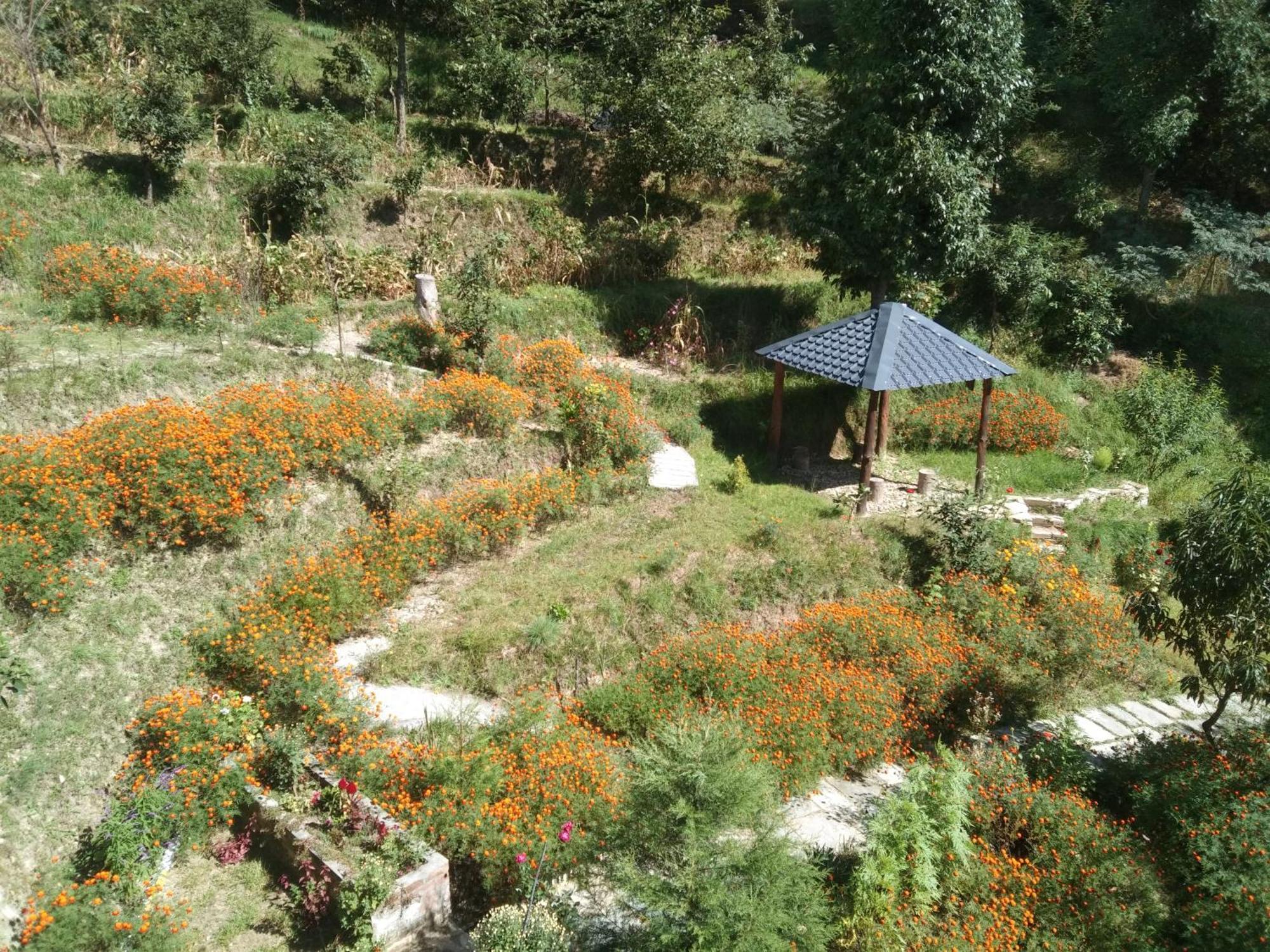 Francolin Lodge-Farmstay @ Darima 穆克缇斯瓦 外观 照片
