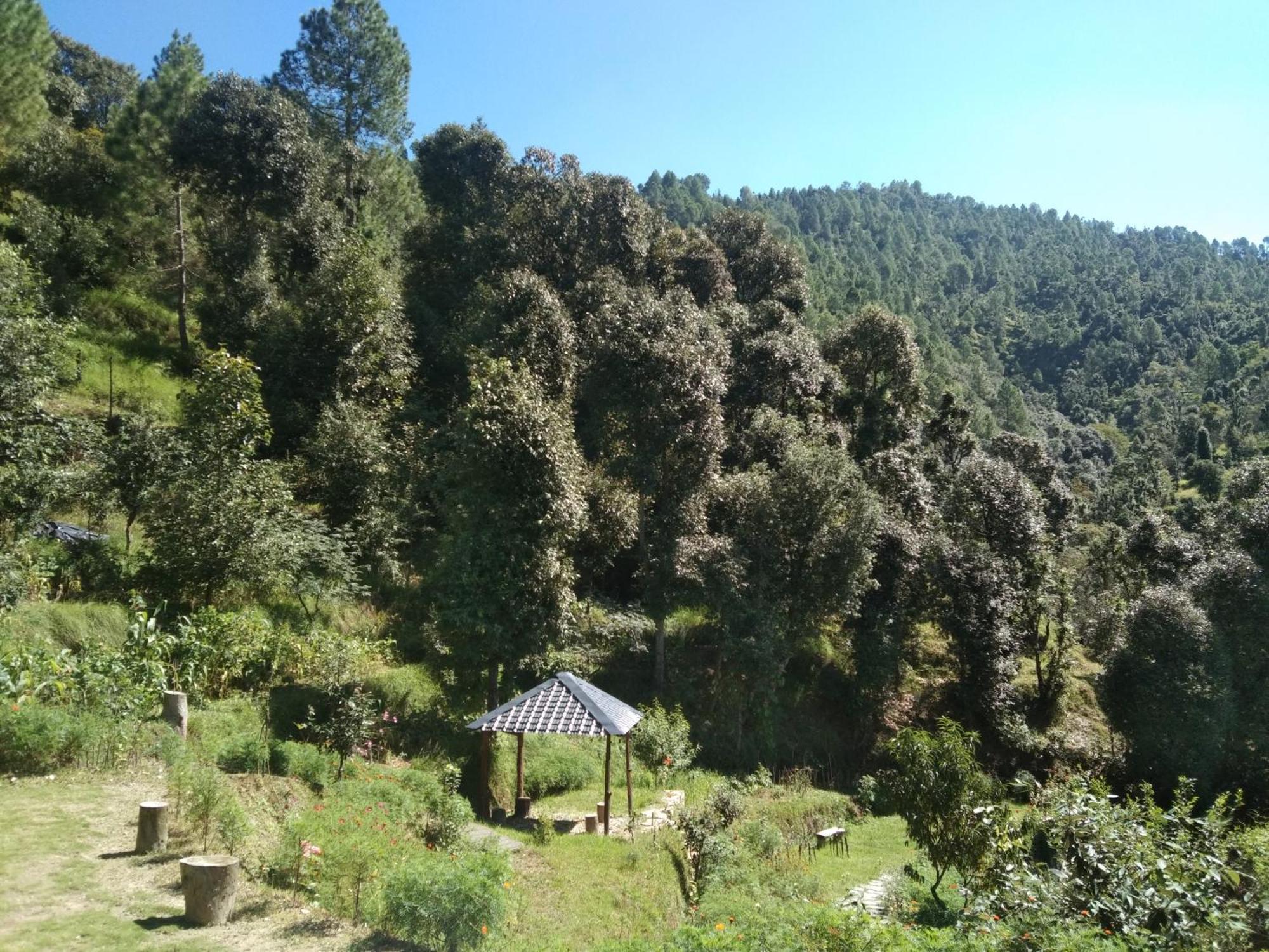 Francolin Lodge-Farmstay @ Darima 穆克缇斯瓦 外观 照片